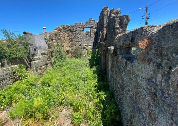 Moradia T4 para Venda em Lajeosa do Dão Foto 11