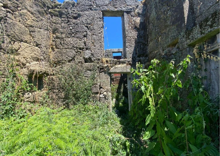 Moradia T4 para Venda em Lajeosa do Dão Foto 12