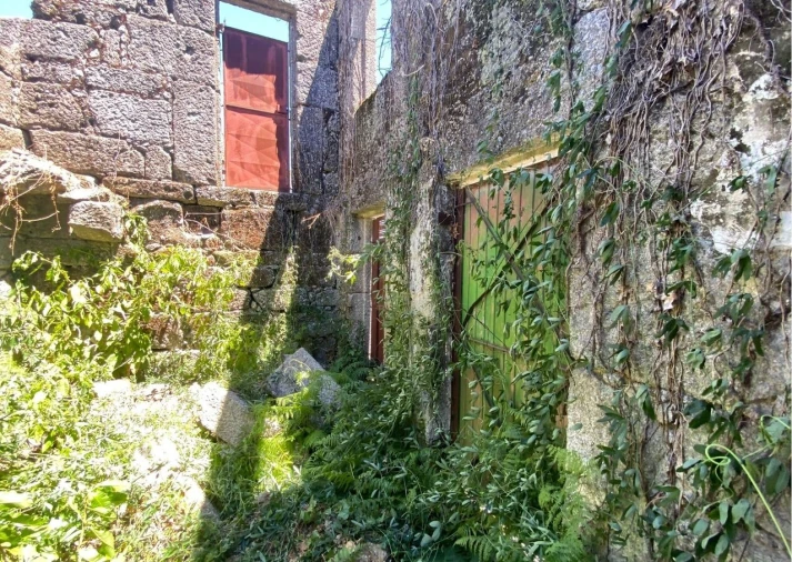 Moradia T4 para Venda em Lajeosa do Dão Foto 14