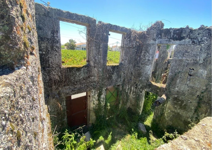 Moradia T4 para Venda em Lajeosa do Dão Foto 44