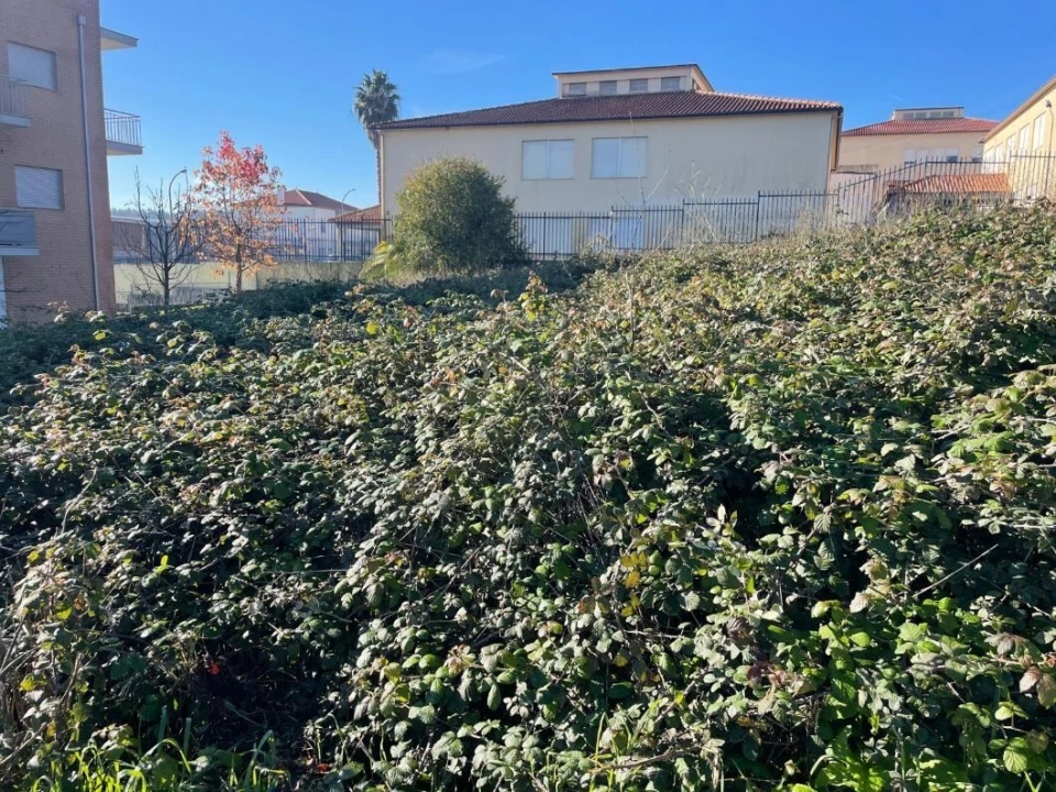 Terreno para Venda em Louriçal Foto 3