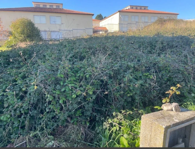 Terreno para Venda em Louriçal Foto 1