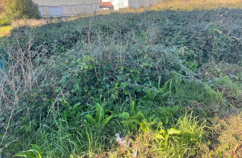 Terreno para Venda em Louriçal Foto 2