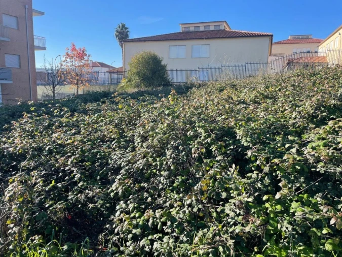 Terreno para Venda em Louriçal Foto 3