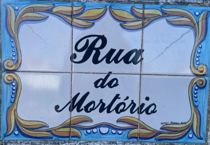 Terreno para Venda em Louriçal Foto 4