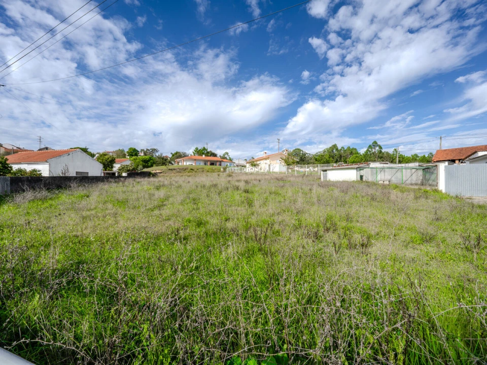Terreno para Venda em Maceira Foto 6