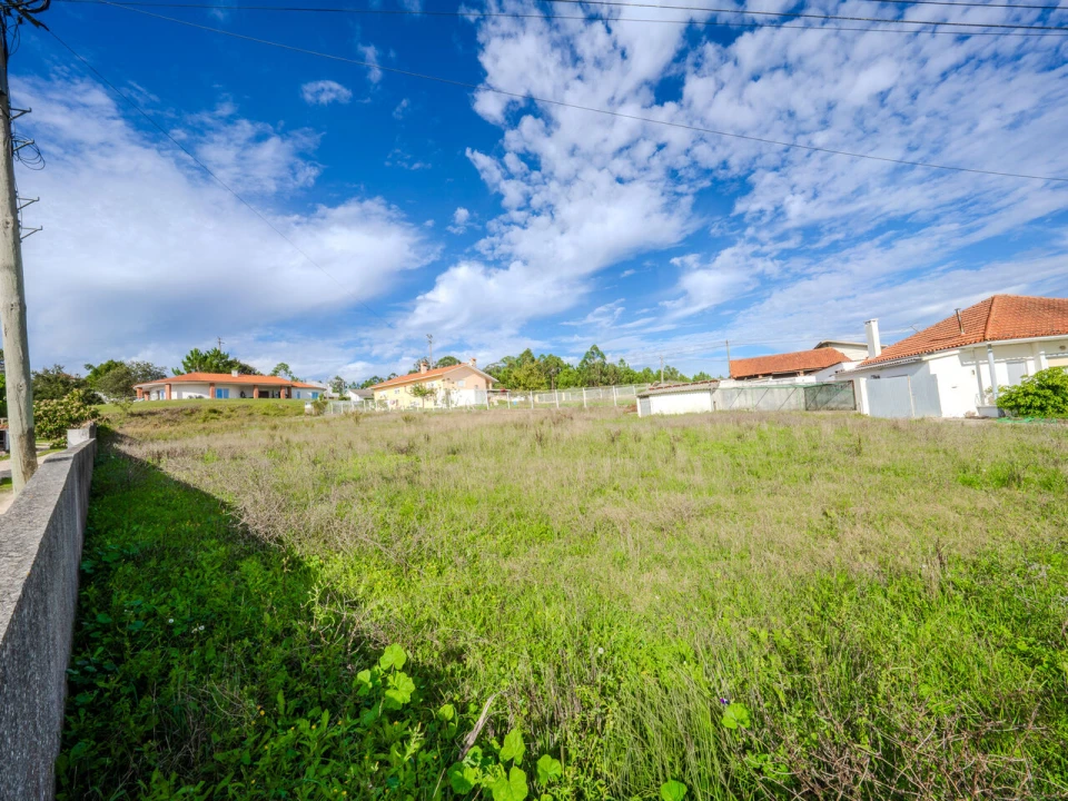 Terreno para Venda em Maceira Foto 9