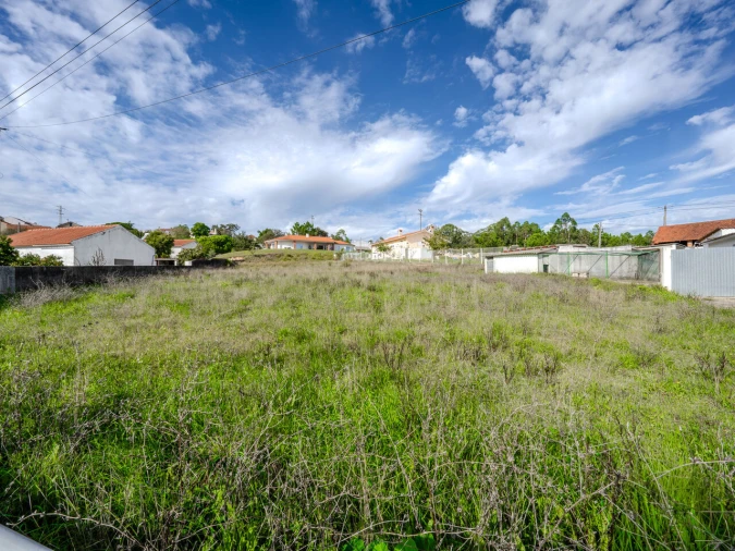 Terreno para Venda em Maceira Foto 6