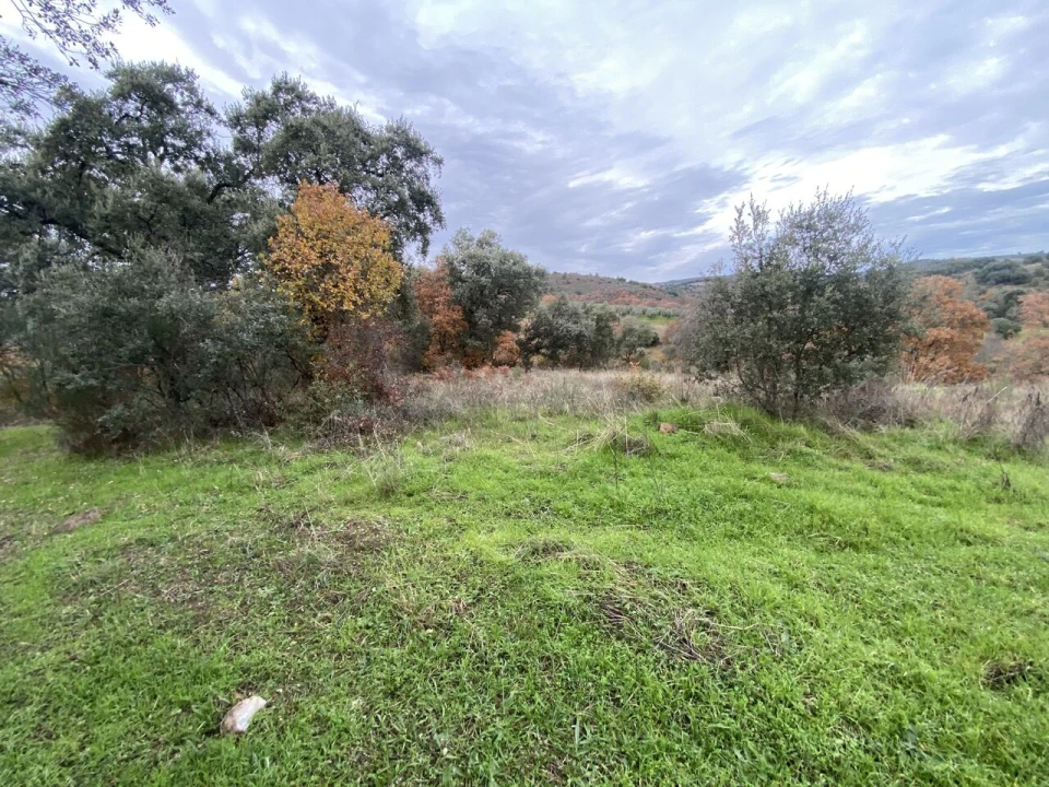 Terreno para Venda em Vinhas Foto 2