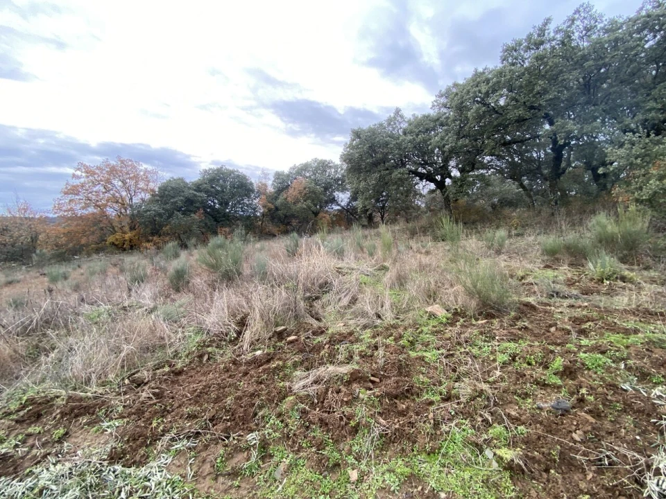 Terreno para Venda em Vinhas Foto 4