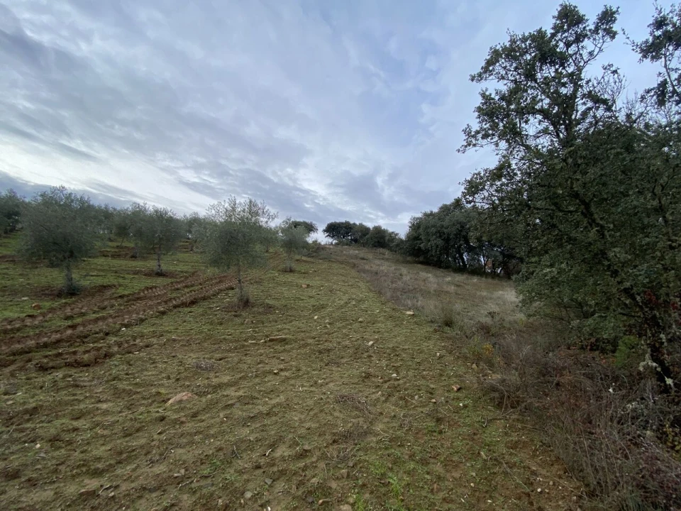 Terreno para Venda em Vinhas Foto 11