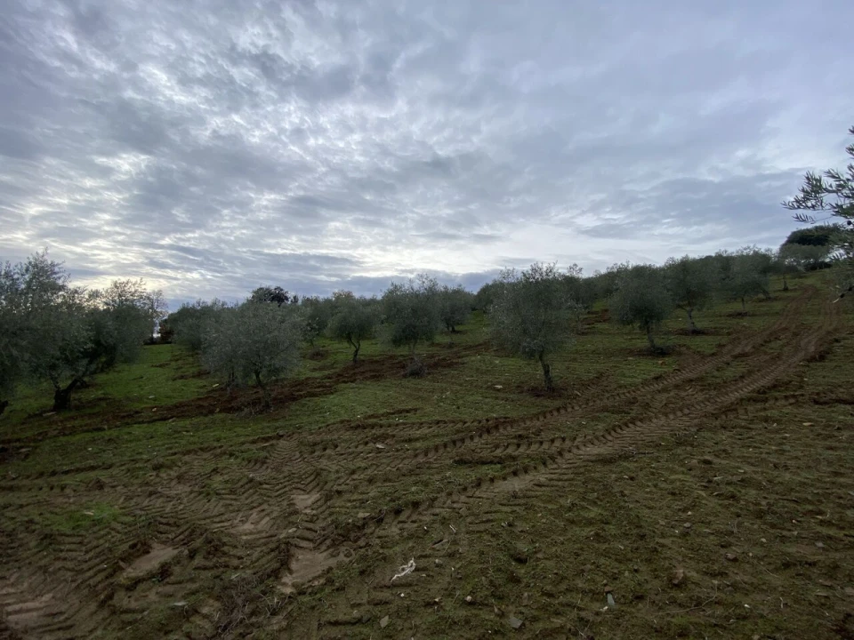 Terreno para Venda em Vinhas Foto 12