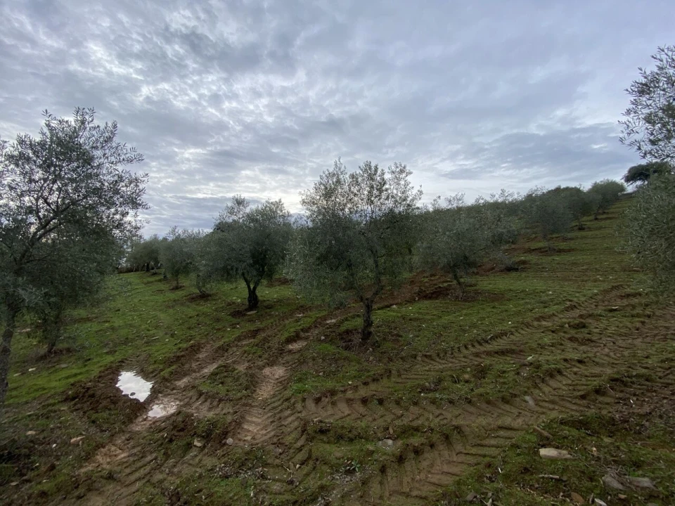 Terreno para Venda em Vinhas Foto 13