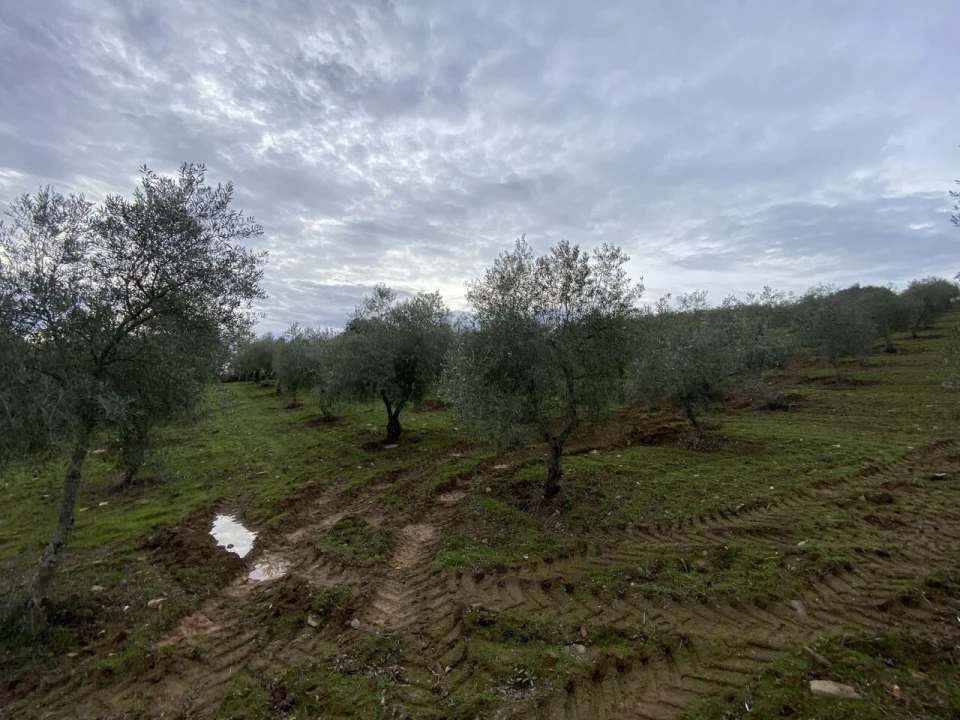 Terreno para Venda em Vinhas Foto 14