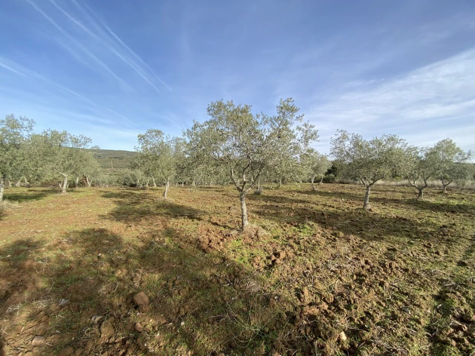 Terreno para Venda em Vinhas Foto 16