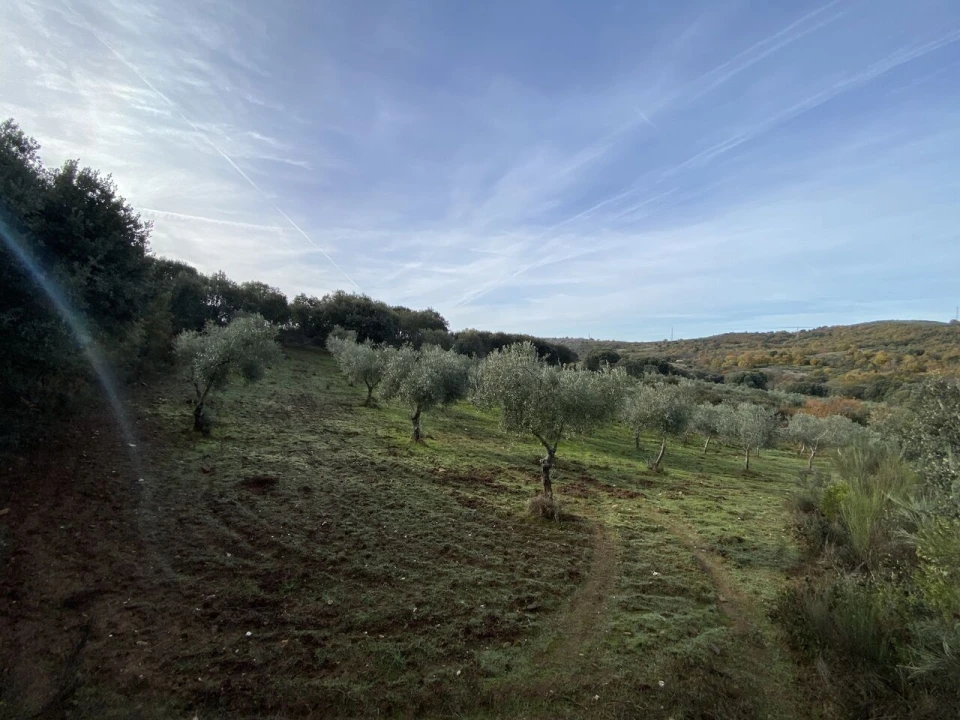 Terreno para Venda em Vinhas Foto 25