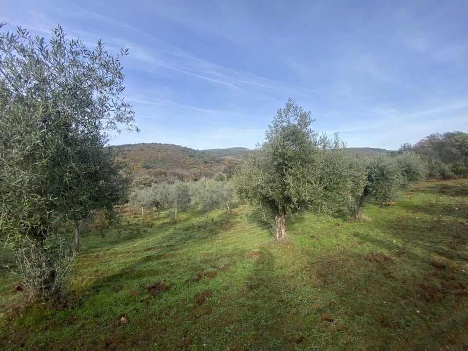 Terreno para Venda em Vinhas Foto 27