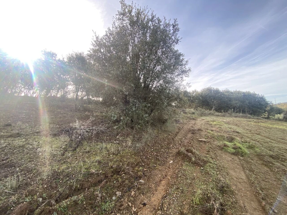 Terreno para Venda em Vinhas Foto 29