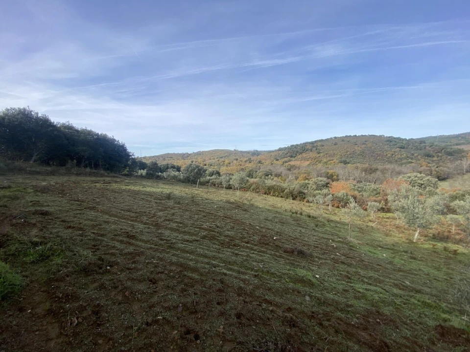 Terreno para Venda em Vinhas Foto 30