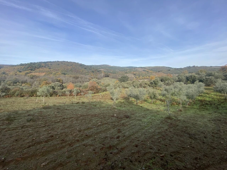 Terreno para Venda em Vinhas Foto 32