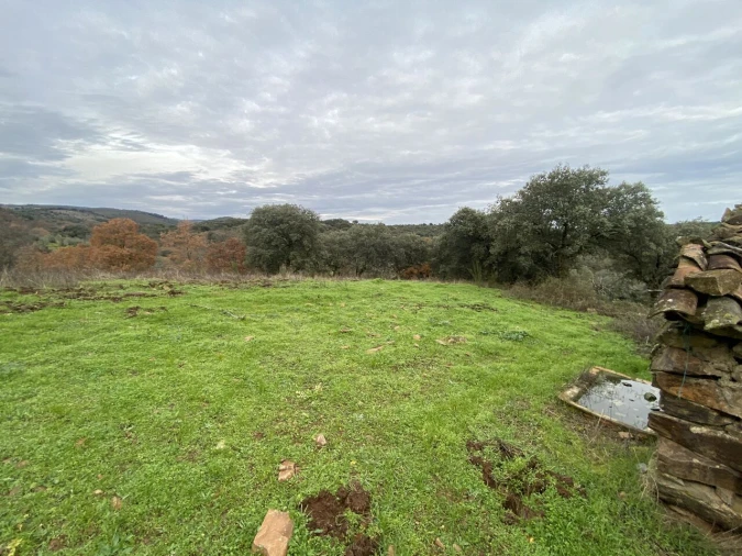 Terreno para Venda em Vinhas