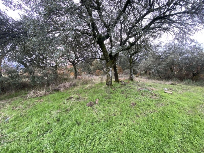 Terreno para Venda em Vinhas Foto 3