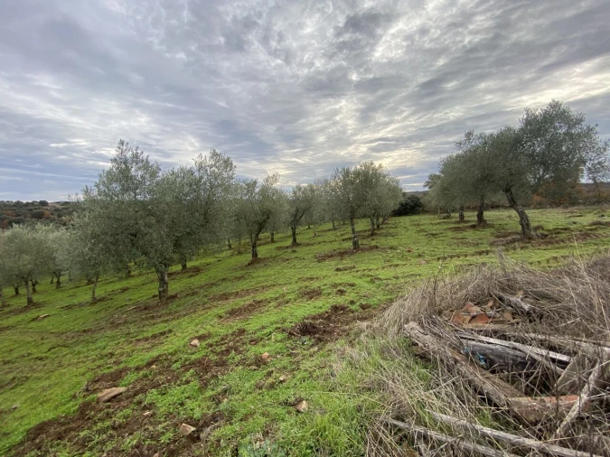 Terreno para Venda em Vinhas Foto 5