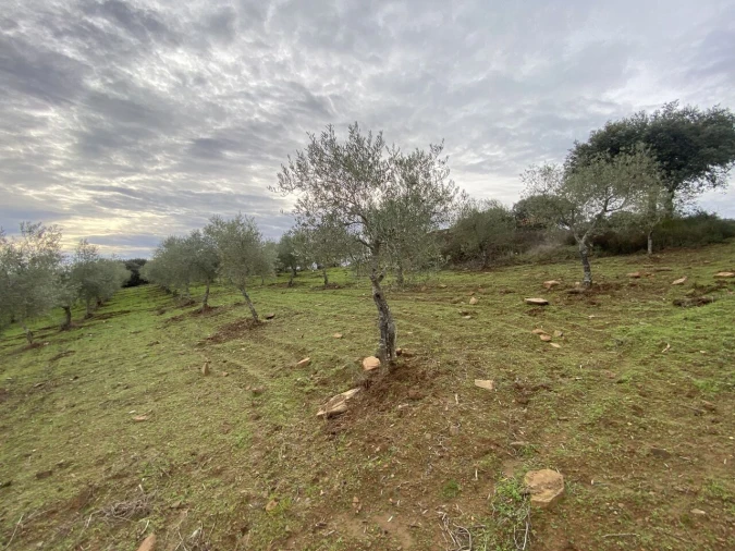 Terreno para Venda em Vinhas Foto 8