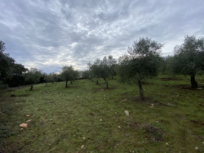 Terreno para Venda em Vinhas Foto 15