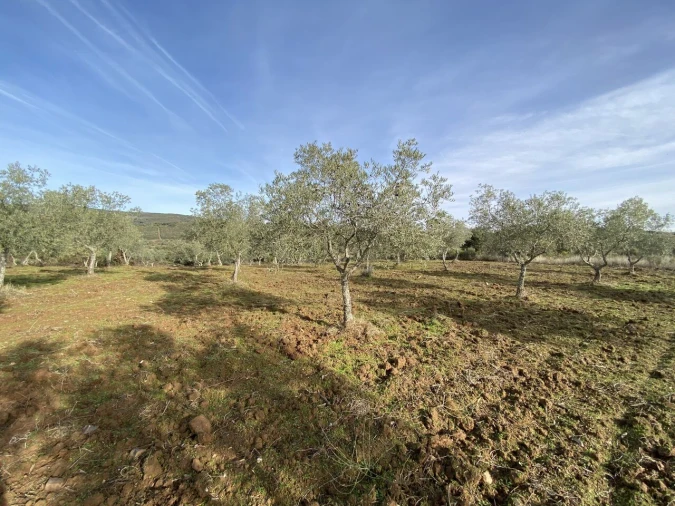 Terreno para Venda em Vinhas Foto 16