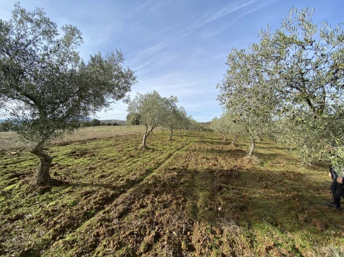 Terreno para Venda em Vinhas Foto 17