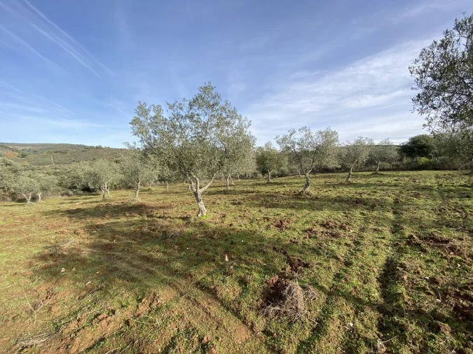Terreno para Venda em Vinhas Foto 20