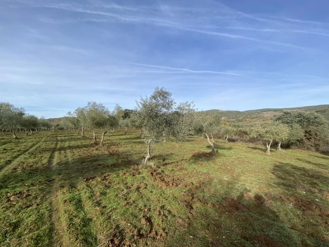 Terreno para Venda em Vinhas Foto 24