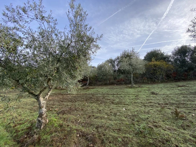 Terreno para Venda em Vinhas Foto 26