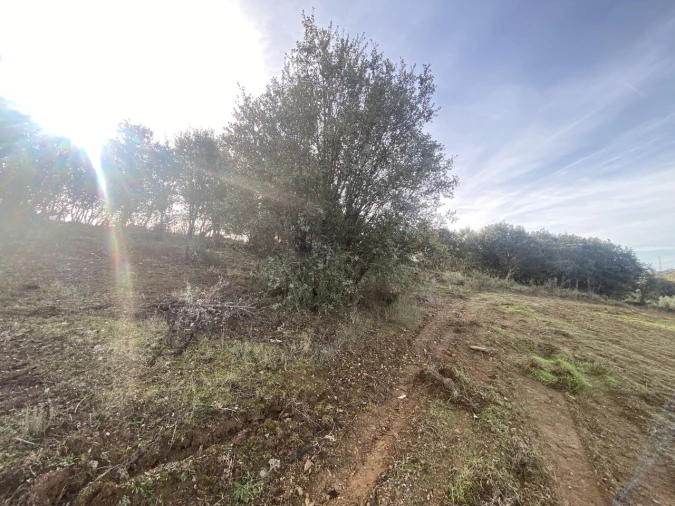Terreno para Venda em Vinhas Foto 28