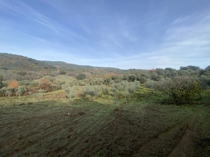 Terreno para Venda em Vinhas Foto 31