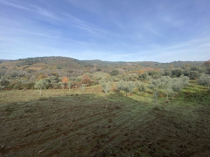 Terreno para Venda em Vinhas Foto 32