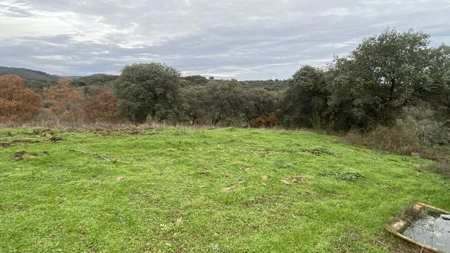 Terreno para Venda em Vinhas