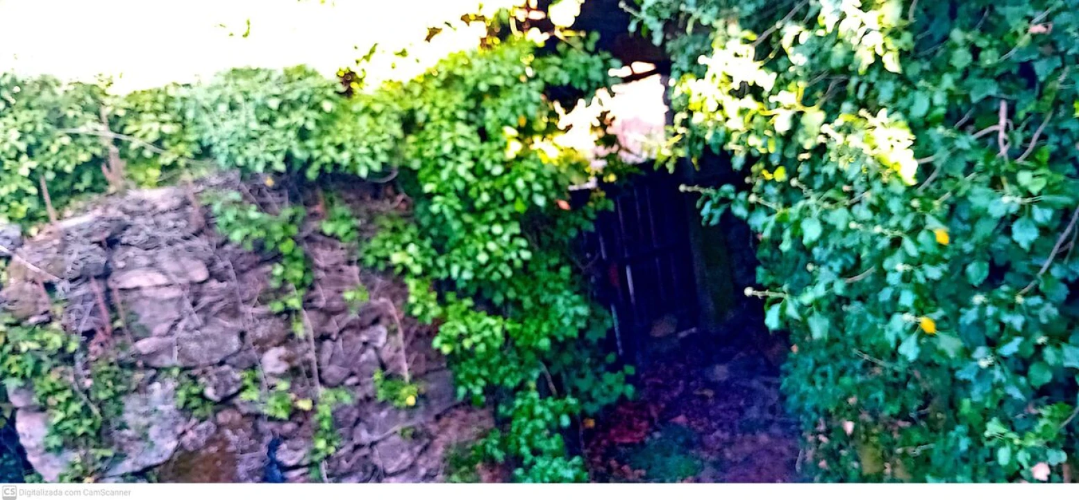 Quinta T5 para Venda em Merufe Foto 4