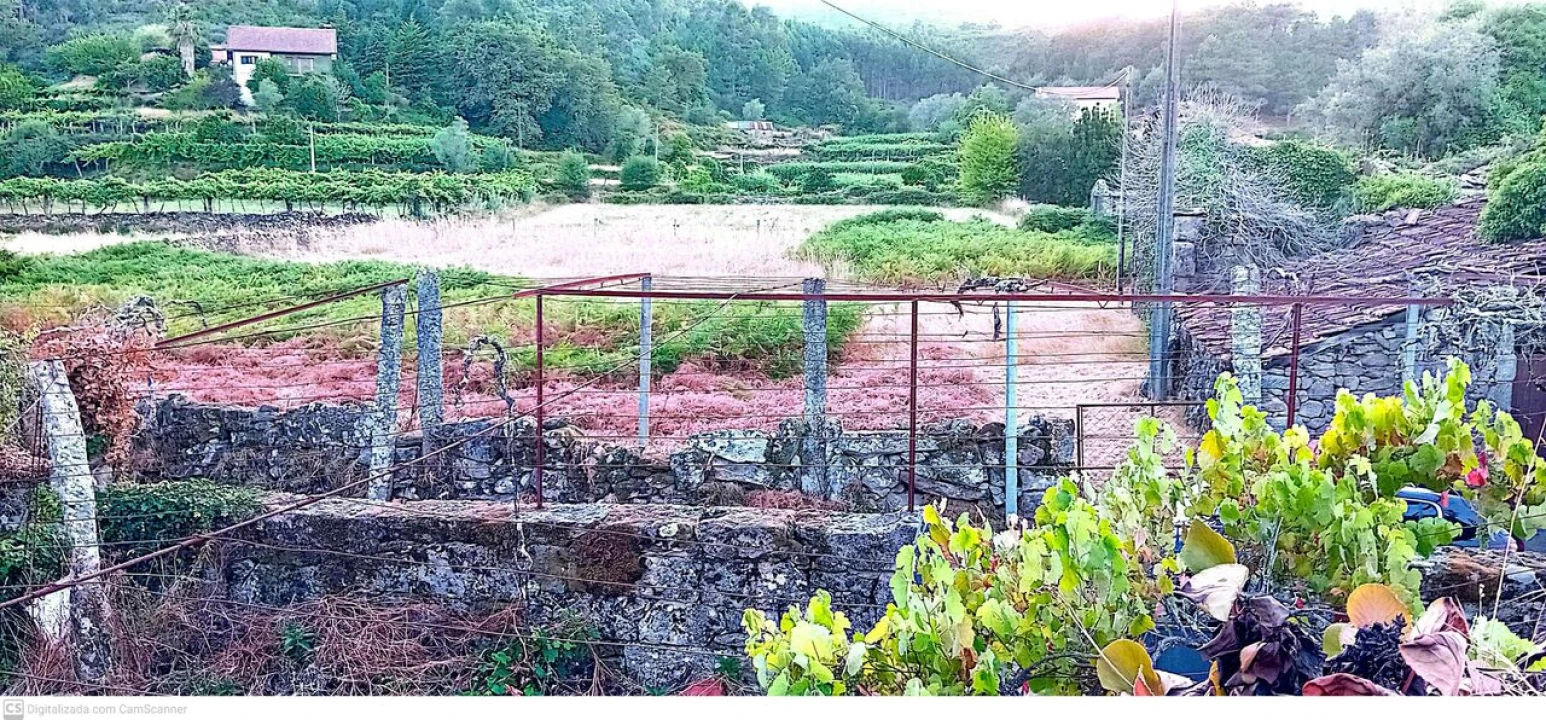 Quinta T5 para Venda em Merufe Foto 7