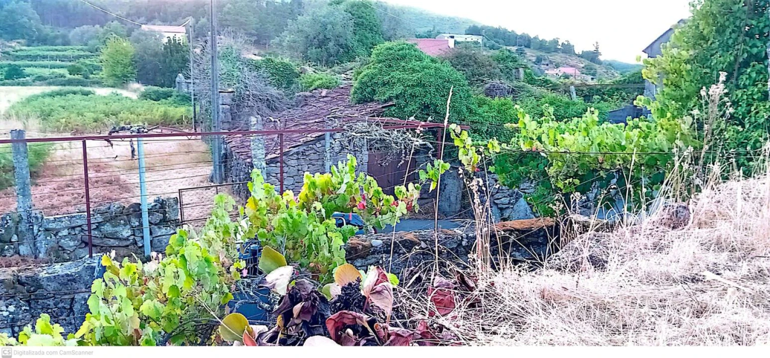 Quinta T5 para Venda em Merufe Foto 8