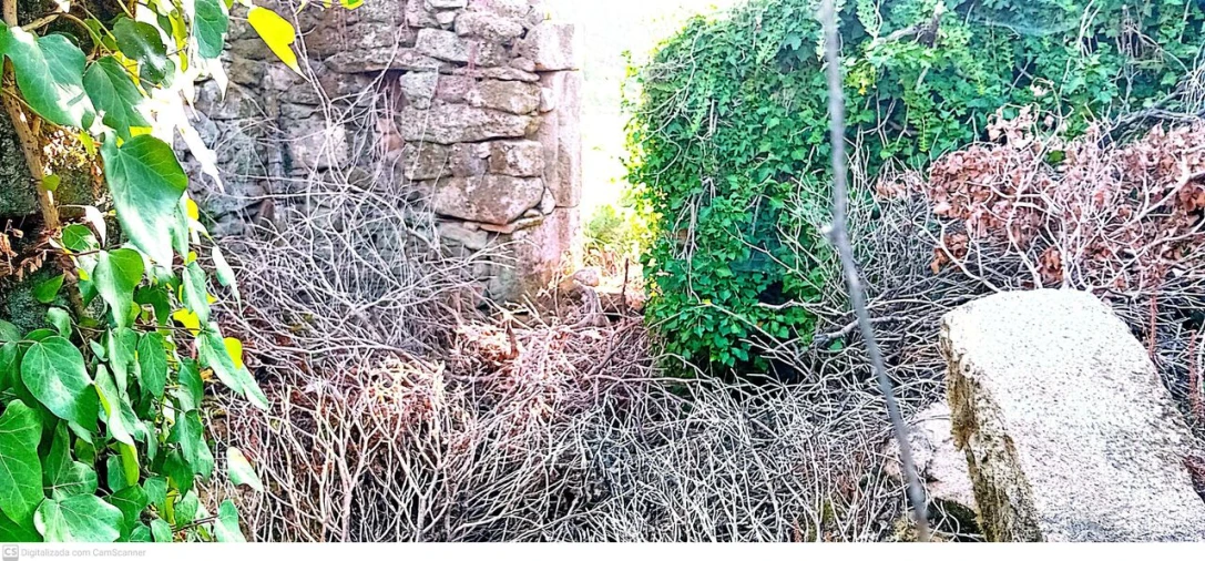 Quinta T5 para Venda em Merufe Foto 6