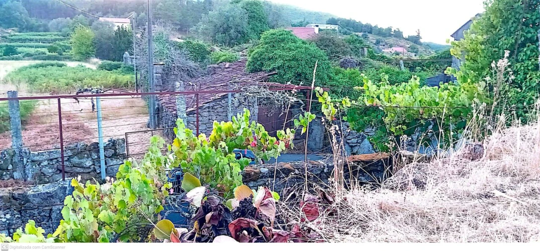 Quinta T5 para Venda em Merufe Foto 8