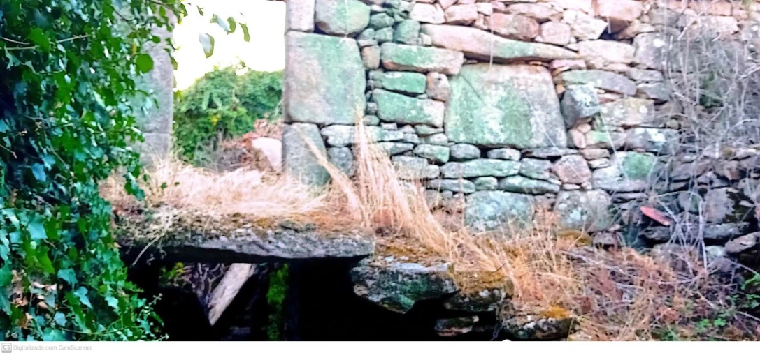 Quinta T5 para Venda em Merufe Foto 9