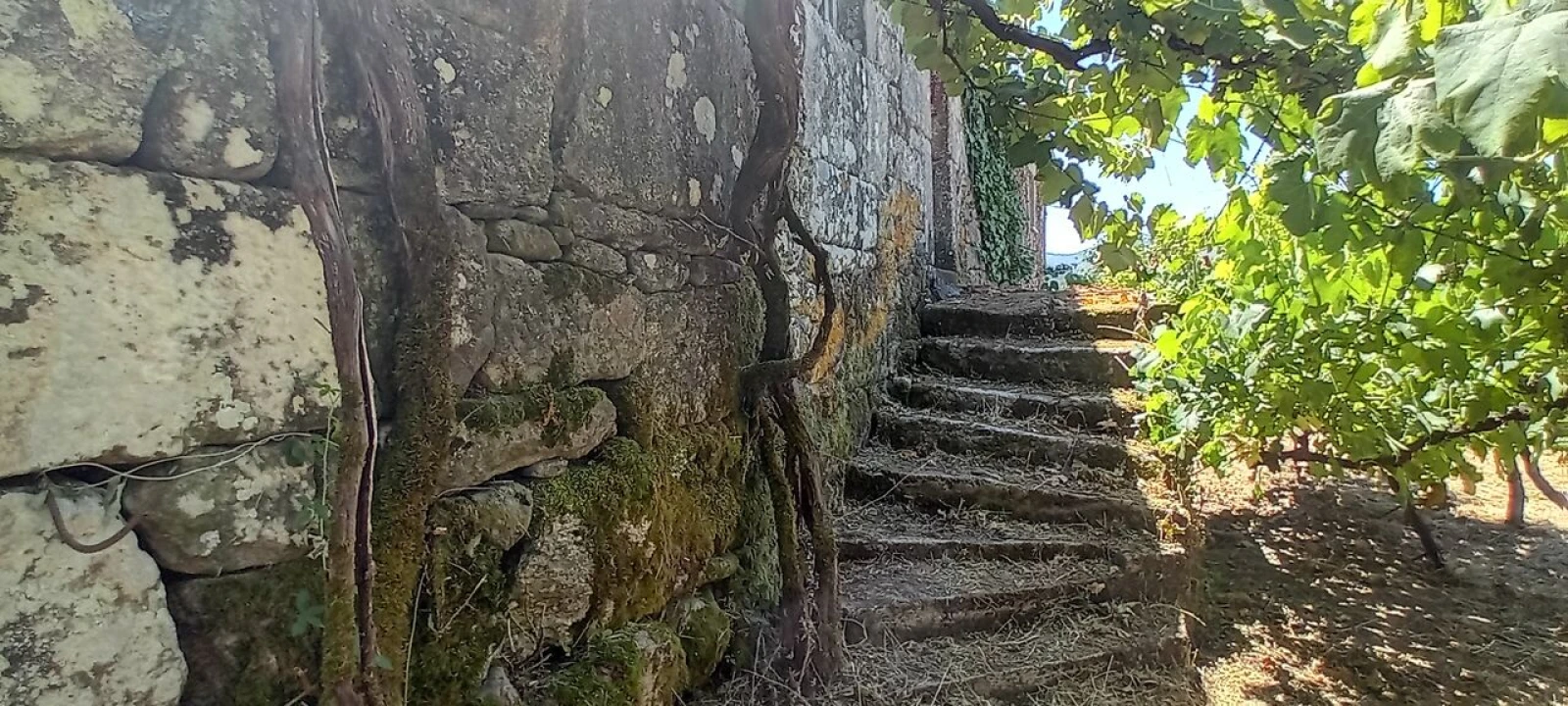 Moradia T2 para Venda em Podame Foto 1