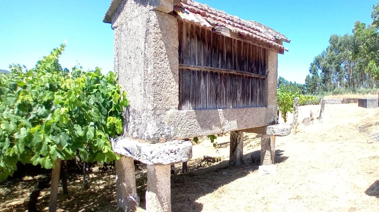 Moradia T2 para Venda em Podame Foto 3