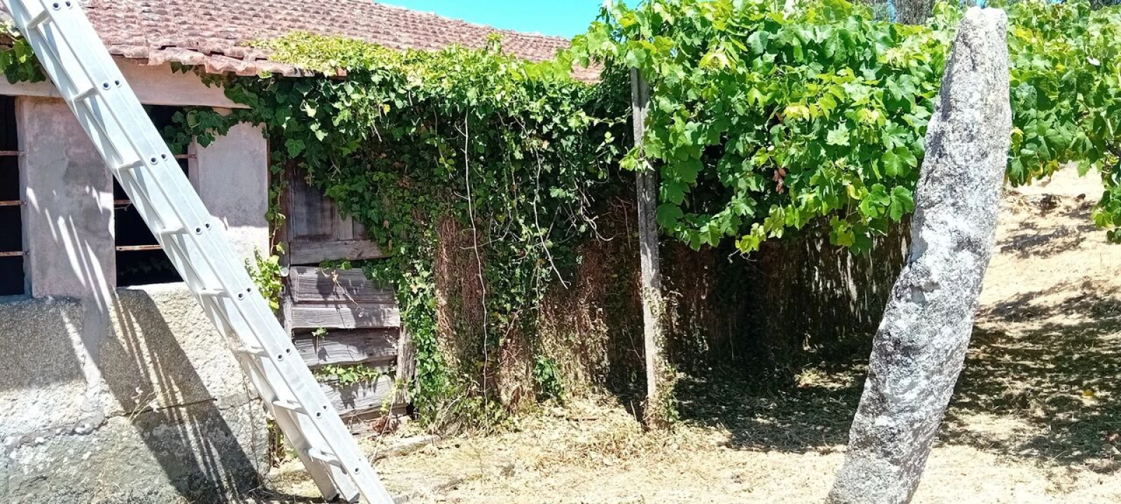 Moradia T2 para Venda em Podame Foto 5