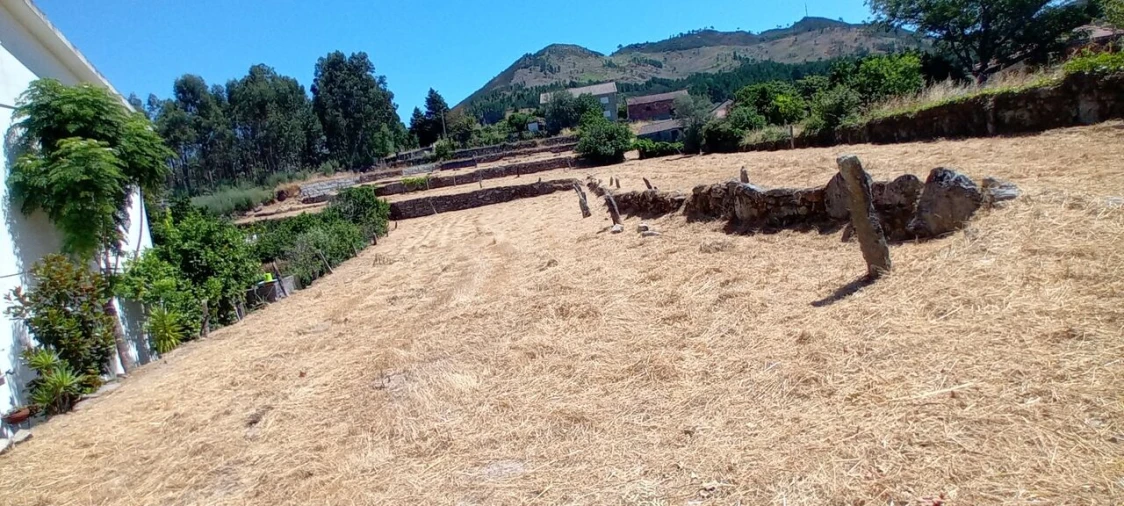 Moradia T2 para Venda em Podame Foto 7