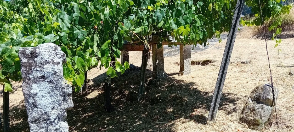 Moradia T2 para Venda em Podame Foto 8