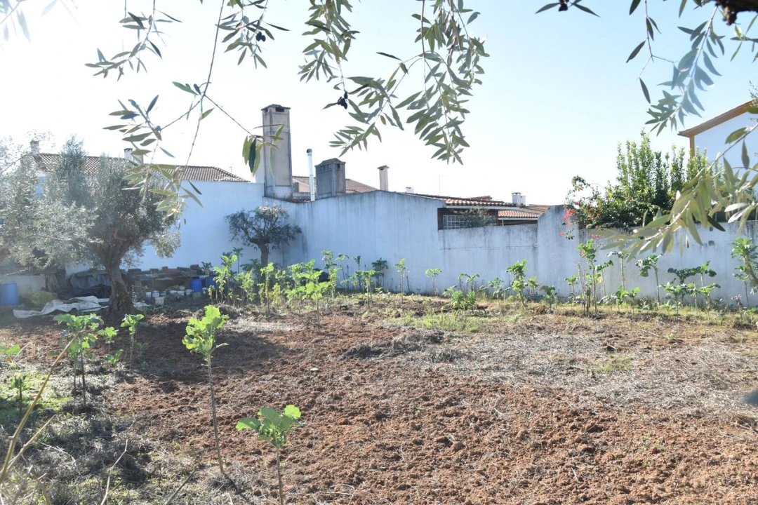 Terreno para Venda em São João Baptista Foto 2